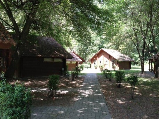 Szekszard - Ferienanlage in Ungarn im Nationalpark