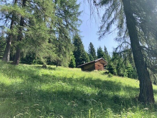 PADOLA - Berghütte zu verkaufen in Belluneser Dolomiten