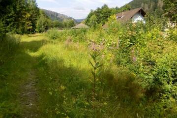 Bad Lauterberg - Bad Lauterberg, Grundstück