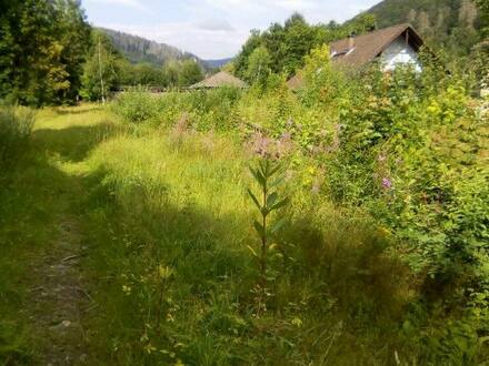 Bad Lauterberg - Bad Lauterberg, Grundstück