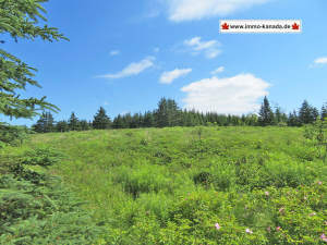 Soldier´s Cove - Cape Breton - Nahe St. Peter´s - 13,6 Hektar-Areal mit Zugangsrecht zum Bras d`Or Lake