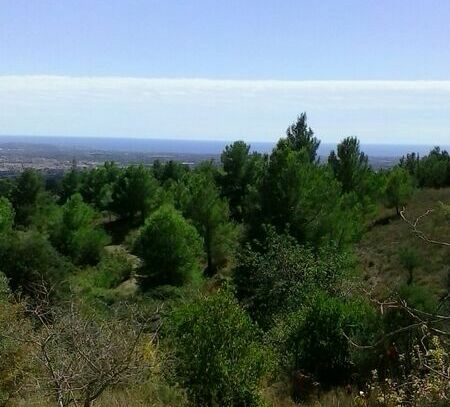 Castellvell del Camp - albero:) Panoramalage im Priorat - 100km bis Barcelona