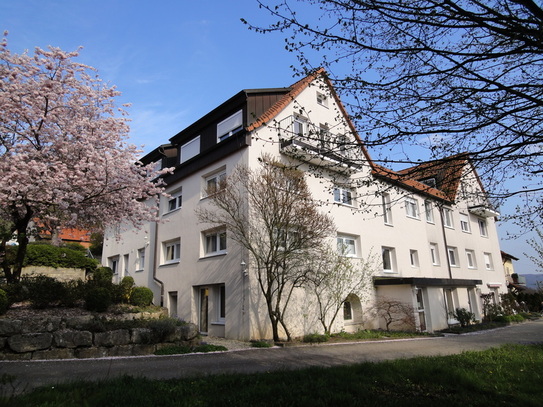 Bretzfeld - 4 stöckiges Gebäude 19 Zimmer zu vermieten (auch einzeln oder 2x8er WG) Glasfaseranschl.
