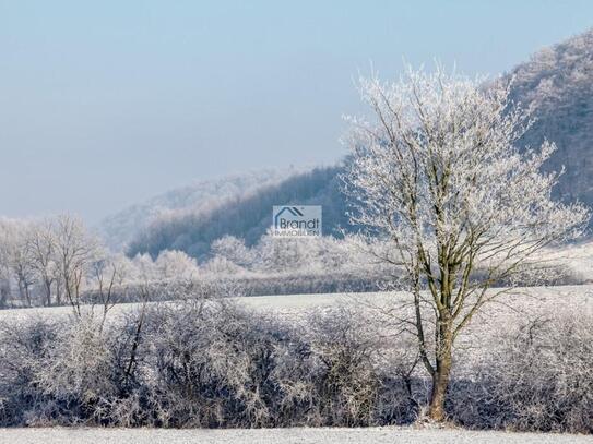 Bodenfelde - Bezugsfrei Bodenfelde - ZFH in ruhiger Randlage mit schönster Aussicht auf die Weserauen