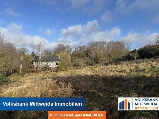 Döbeln - EFH im Bungalowstil mit großem Grundstück und großem Nebengelass!