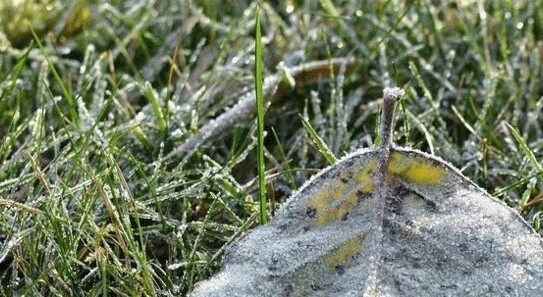 Ócsa - In Ungarn neben M0 Autobahn 15 ha Industriefläche