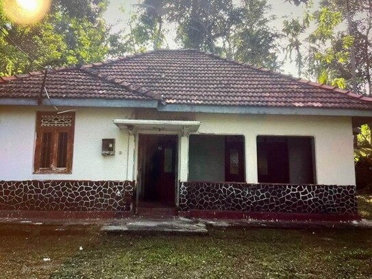 JAMBURAGODA - Haus mit grossem Grundstück in Sri Lanka