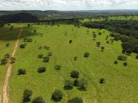 Presidente Figueiredo - Brasilien 1500 Ha Tiefpreis - Grundstück mit Rohstoffen