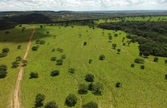 Presidente Figueiredo - Brasilien 1500 Ha Tiefpreis - Grundstück mit Rohstoffen