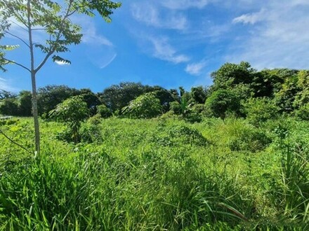 Novo Aripuana - Brasilien 961.5998 Ha grosses Grundstück mit See