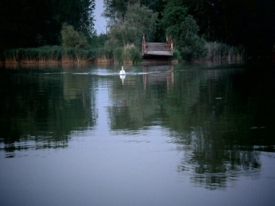 Tolna megye - Pferdehof auf einer Insel an der Donau