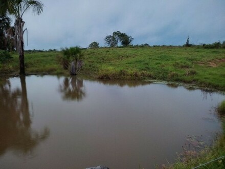 Caracarai - Brasilien 935 Ha Tiefpreis-Grundstück mit Viehzucht