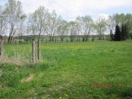 Berg - Koppel Grundstück in Berg am Starnberger See