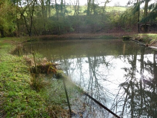 Biedershausen - Teichanwesen mitten im Wald Südwestpfalz