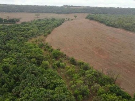 Novo Aripuana - Brasilien 145.198 Ha grosses Grundstück mit Privatsee