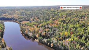 Cleveland - Cape Breton - Cleveland - Großzügiges Ufergrundstück am River Inhabitants