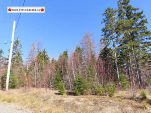West Bay - Cape Breton - West Bay - Preis-Hit - Attraktives Baugrundstück mit Zugangsrecht zum Bras d`Or Lake