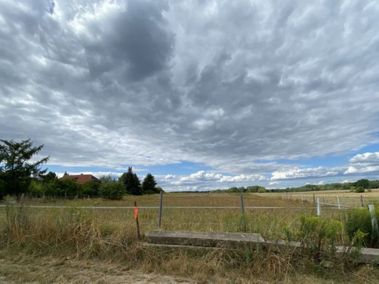 Wandlitz - Das Naturschutzgebiet ist nahe Ihrem Baugrundstück