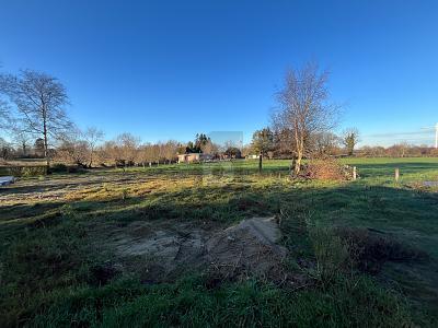 Steenfeld - BAUEN IN RUHIGER UND NATÜRLICHER LAGE