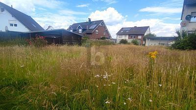 Hagen am Teutoburger Wald - PARADIESISCHES REFUGIUM ZUM TRÄUMEN