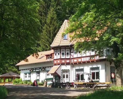 Oberhof - Provisionsfrei* Pension & Restaurant in Alleinlage - Ihre Oase der Ruhe ! im Thüringer Wald