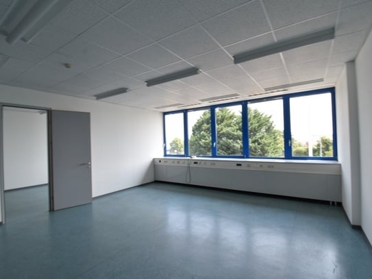 2 Zimmer Büro - Wiener Neudorf