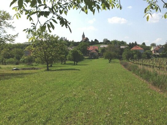 Nationalpark Neusiedler See – Haus mit traumhaftem 3.000 qm Naturgarten