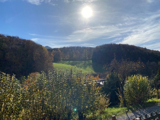 Mobilheim auf Pachtgrund im Wienerwald