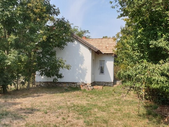 Kleines Haus + großer Naturgarten im Nationalpark Neusiedler See