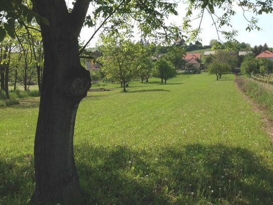 Nationalpark Neusiedler See – Haus mit traumhaftem 3.000 qm Naturgarten