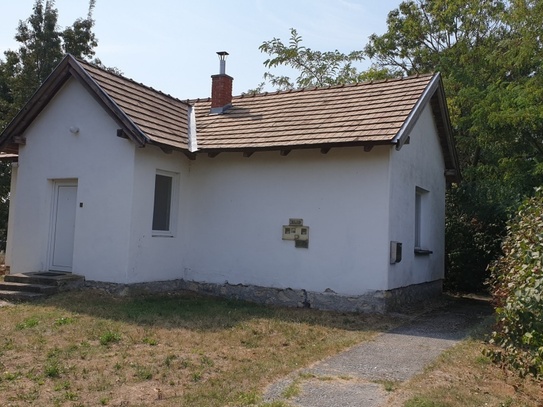 Kleines Haus + großer Naturgarten im Nationalpark Neusiedler See