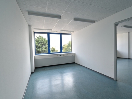 2 Zimmer Büro - Wiener Neudorf