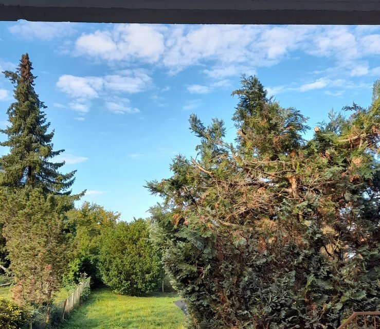 Townhouse 10 min to Patch/Panzer