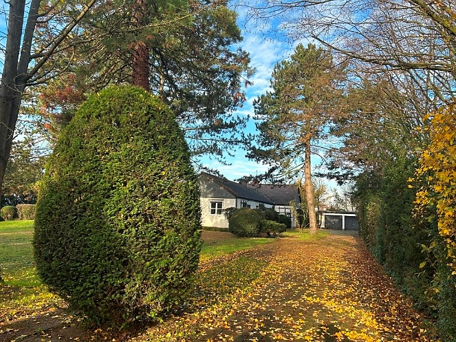 Real Estate Title Image Background