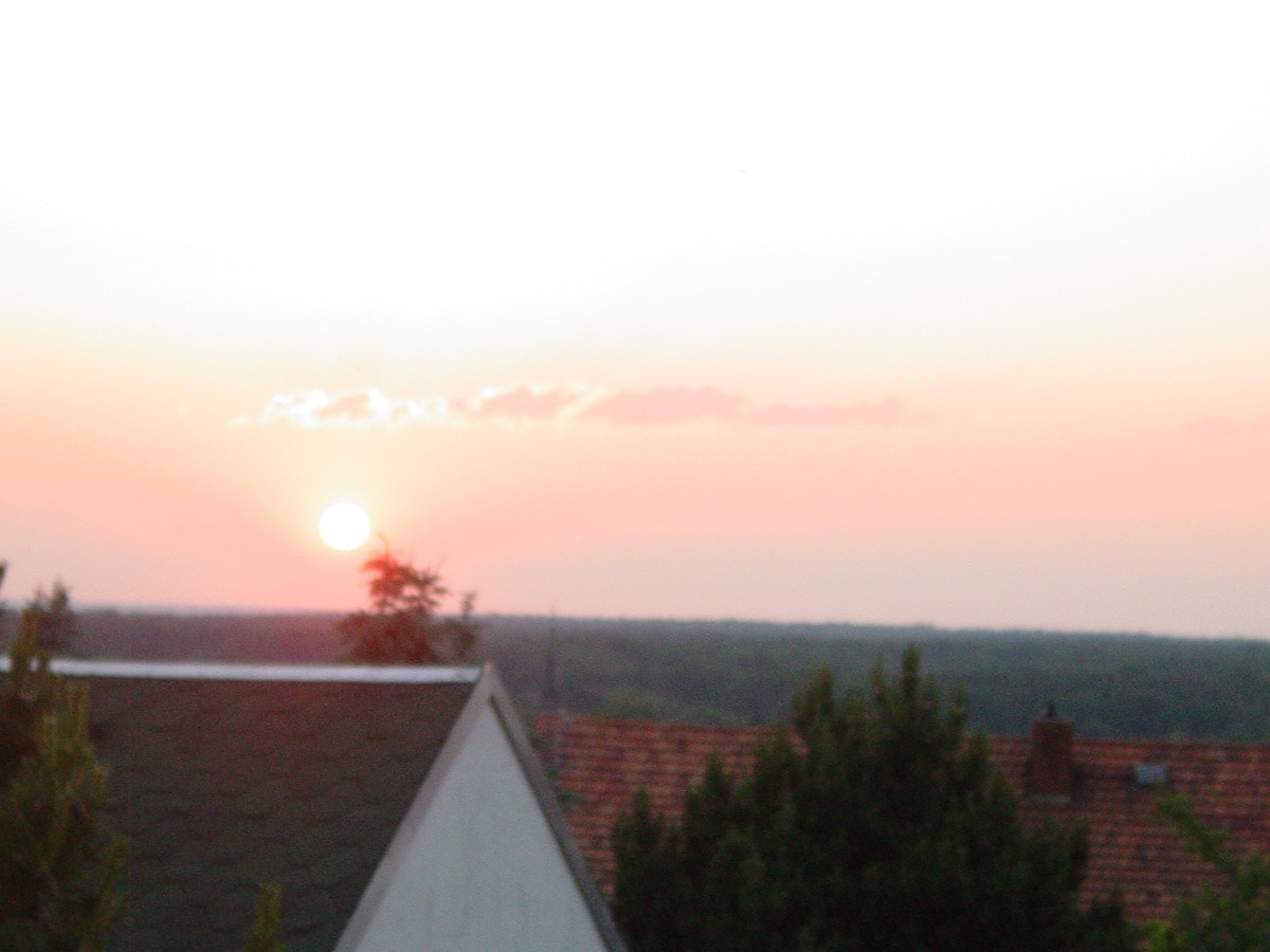 Dresden Bühlau, Apartment mit Blick über die Bäume