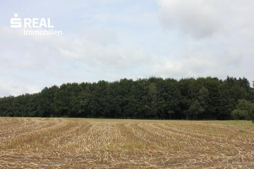 Landwirtschaftlich genutzte Grundstücke in 3300 Amstetten!!!