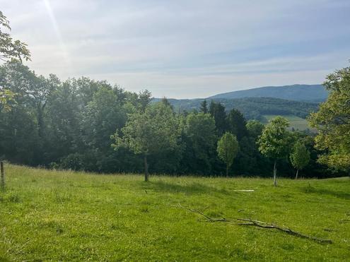 RUHIGE AUSSICHTSLAGE AN DER GRÜNLANDGRENZE