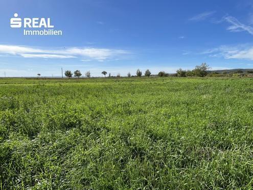 Exklusives Grundstück - Grüner Ausblick bis zum Neusiedlersee