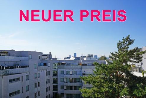 Ausblick bis Donauturm und DC Tower - Dachgeschoßwohnung mit Balkon