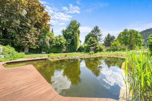 Top Jugendstil-Villa mit Schwimmteich - perfekt für große Familie, für 2 Familien, für wohnen und arbeiten