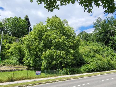 BAUGRUND IM BAULAND-KERNGEBIET NAHE WIEN