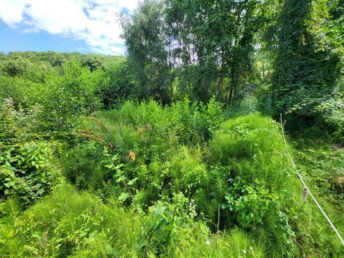 GRUNDSTÜCK IN HANG-RANDLAGE MIT BLICK IN DEN WIENERWALD