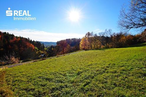 8380 Jennersdorf - Traumhaftes Baugrundstück mit Fernblick über Laritzgraben!