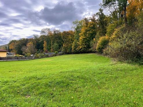 Fern ab von der Hektik der Stadt, direkt am Waldrand wohnen und entspannen- Nur 500m zur Wiengrenze!!!