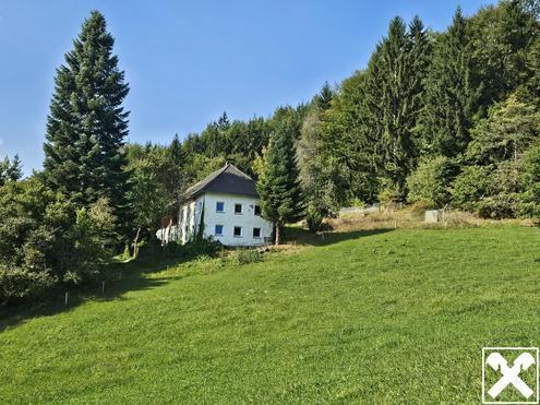 Bauernhof samt Auszugshaus (Sternchenbau) mit land- und forstwirtschaftl. Grund in idyllischer Alleinlage