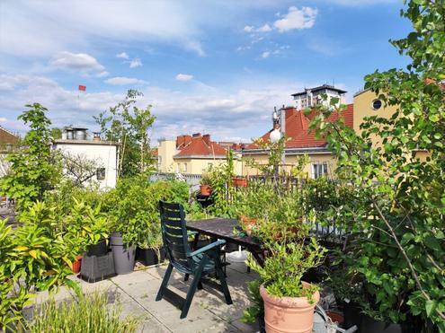 LOFTARTIGES WOHNEN - Sonnige Gemeinschafts-Dachterrasse