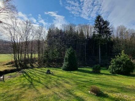 EBENER, SONNIG GELEGENER BAUGRUND AN GRÜNLANDGRENZE