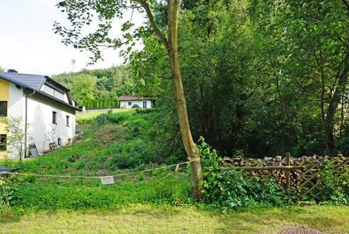 Grundstück in Grünlage im Pressbaumer Zentrum