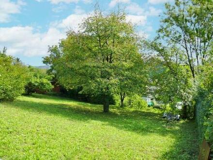 Baugrund auf leichtem Südhang in idyllischer Lage in Tulln-Nähe