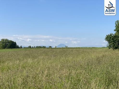 Traunsteinblick: Baugrund in der Gemeinde Steinerkirchen an der Traun/Linden